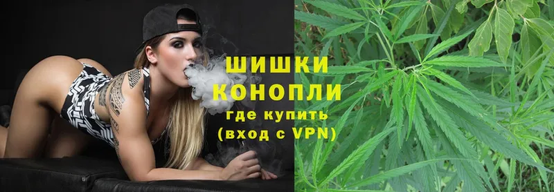 Каннабис OG Kush  Гороховец 